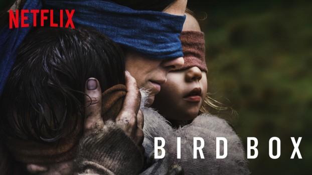 Netflix Urging People Against Bird Box Challenge