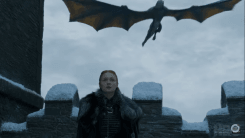 The Dragons!