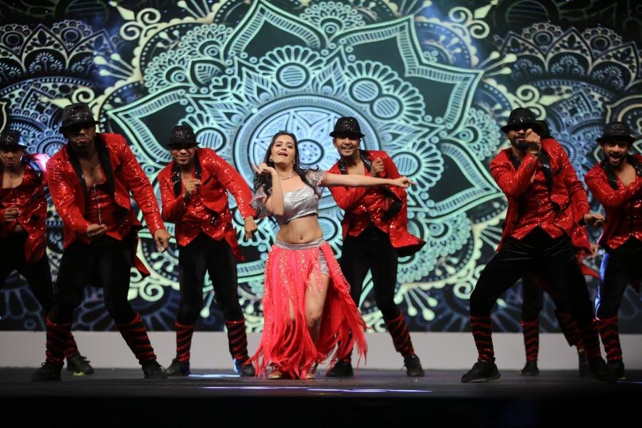 Ashika Ranganath at SIIMA Awards Siima awards,siima awards 2019,siima awards hot pics,shriya saran,niddhi agrewal,ashika ranganath,shanvi srivastava
