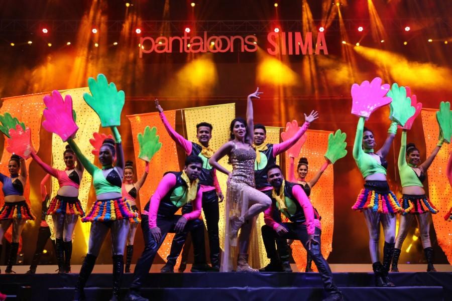 Ashika Ranganath Entertains Fans Siima awards,siima awards 2019,siima awards hot pics,shriya saran,niddhi agrewal,ashika ranganath,shanvi srivastava