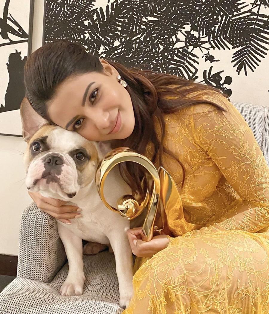 Samantha in Mustard Yellow Embroidered Dress Samantha,samantha hot,samantha akkineni,samantha akkineni hot,samantha see through dress,samantha transparent dress