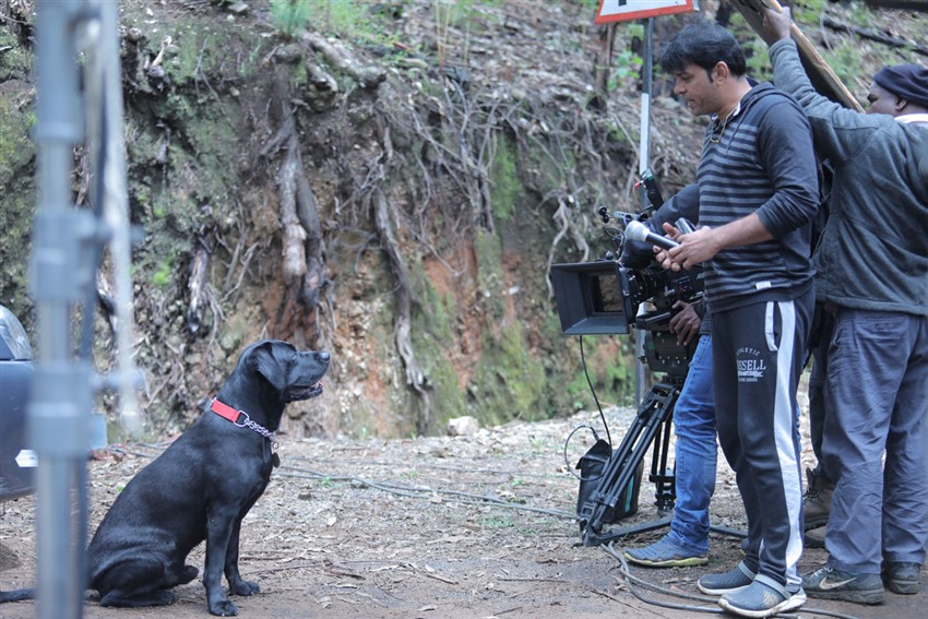 A shot on the Dog during the Making of Penguin Penguin,penguin making pictures,penguin photos,keerthy suresh,keerthy suresh penguin