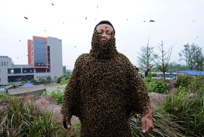 Beekeeper She Ping is covered with bees during a challenge to break the world record in Chongqing Municipality Weird World Records,World Records,Guinness record,Guinness record 2014,Guinness record 2015,world records list,world records 2013,world records human body,amazing world records,world records dance,easy world records to break