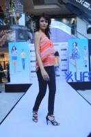 Lauren Gottlieb launches latest collection of LIFE,Lauren Gottlieb,latest collection of LIFE,actress Lauren Gottlieb,Lauren Gottlieb pics,Lauren Gottlieb images,Lauren Gottlieb at fashion show,Lauren Gottlieb ramp walk,Lauren Gottlieb stills,Lauren Gottli
