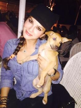 Sunny Leone Latest Pics