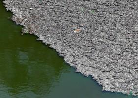 World Environment Day 2015,world environment day,World Environment Day photos,Photos of earth,overpopulated earth,earth traffic,pollution photos