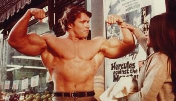 Arnold Schwarzenegger,actor Arnold Schwarzenegger,arnold schwarzenegger quotes,arnold schwarzenegger movies,arnold schwarzenegger top movies,arnold schwarzenegger bodybuilding,arnold schwarzenegger son,Arnold Schwarzenegger Top 15 Movies