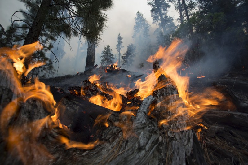 Lake Fire Burns San Bernardino National Forest - Photos,Images,Gallery ...