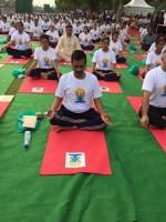 Anandiben Patel at International Yoga Day Celebration,Arvind Kejriwal at International Yoga Day Celebration,Devendra Fadnavis at International Yoga Day Celebration,DR Rama Singh at International Yoga Day Celebration,Siddaramaiah at International Yoga Day