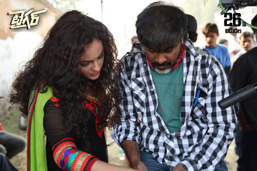 Tiger Movie Poster Tiger,Tiger Movie Poster,telugu movie Tiger,Tiger Movie pics,Tiger Movie images,Tiger Movie photos,Tiger Movie stills
