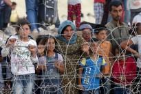 Syrian Kurds from Kobani wait behind the border fences to cross into Turkey