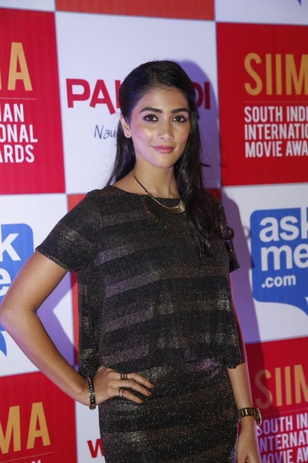 Pooja Hedge at SIIMA Press Meet - Photos,Images,Gallery - 20190