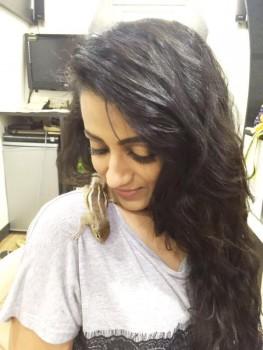Trisha Krishnan Latest Pics