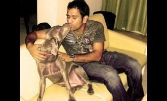 MS Dhoni Birthday Special,Happy Birthday MS Dhoni,MS Dhoni birthday,MS Dhoni birthday celebration,MS Dhoni rare pics,MS Dhoni unseen pics,MS Dhoni birthday celebration pics,Dhoni,MS Dhoni pics,MS Dhoni images,MS Dhoni photos,MS Dhoni stills,MS Dhoni pictu