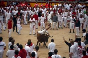 Bull run of Pamplona's San Fermin Festival,bull run,Pamplona's San Fermin Festival,San Fermin Festival,San Fermin Festival 2015,Running of the Bulls,wild cow