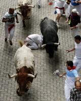 Bull run of Pamplona's San Fermin Festival,bull run,Pamplona's San Fermin Festival,San Fermin Festival,San Fermin Festival 2015,Running of the Bulls,wild cow