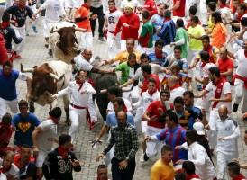 Bull run of Pamplona's San Fermin Festival,bull run,Pamplona's San Fermin Festival,San Fermin Festival,San Fermin Festival 2015,Running of the Bulls,wild cow