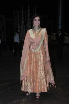 Dia Mizra at Shahid Kapoor Wedding Reception