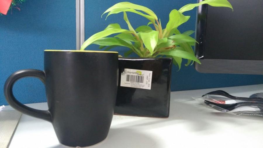 The camera locks the subject quick and offers a zero shutter lag. ZTE News,ZTE Nubia News,ZTE Nubia Z9 Mini,Nubia Z9 Mini Camera Review,ZTE Nubia Z9 Mini Image Samples,ZTE Nubia Z9 Mini Sample Images,ZTE Nubia Z9 Mini Review