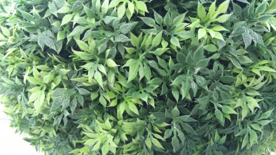 The nicely balanced colours in the image shows the different shades of green. ZTE News,ZTE Nubia News,ZTE Nubia Z9 Mini,Nubia Z9 Mini Camera Review,ZTE Nubia Z9 Mini Image Samples,ZTE Nubia Z9 Mini Sample Images,ZTE Nubia Z9 Mini Review