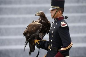 Bastille Day,Military parade in Paris,Military parade,Bastille Day military parade,Paris,French President Francois Hollande,Francois Hollande,Military parade in Paris pics,Military parade in Paris images,Military parade in Paris photos,Military parade in