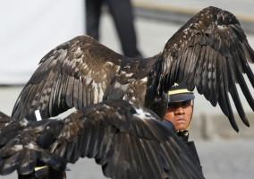 Bastille Day,Military parade in Paris,Military parade,Bastille Day military parade,Paris,French President Francois Hollande,Francois Hollande,Military parade in Paris pics,Military parade in Paris images,Military parade in Paris photos,Military parade in