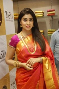 South Indian Actress Shriya Saran Latest Pics.