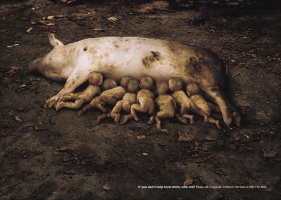 Powerful ads,social issue ads,social issues,ads,best ads,Environmental ads