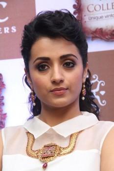 South Indian Actress Trisha at New NAC Store Launch Photos.