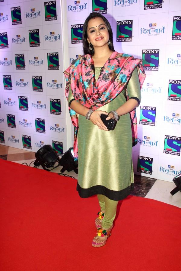 Ram Kapoor's TV Serial 'Dil Ki Baatein Dil Hi Jaane' Premiere; Mahesh