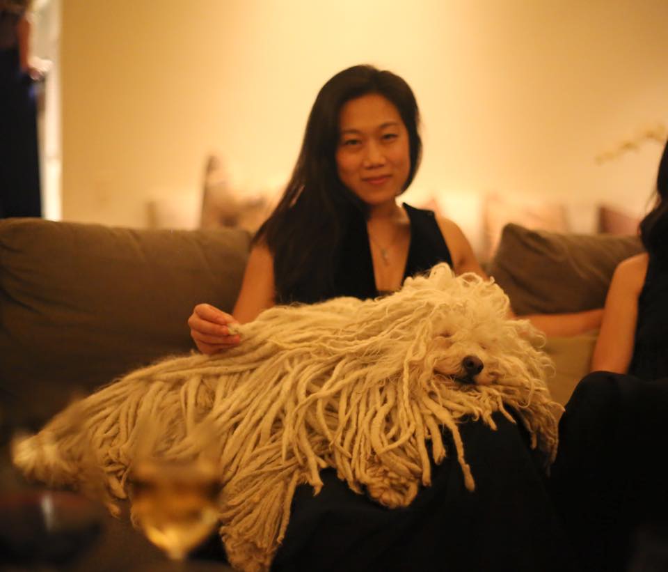 Check out the photos of Mark Zuckerberg's Dog Beast. Mark Zuckerberg,Mark Zuckerberg dog,mark's dog beast,beast,beast dog photos,cute dog photos