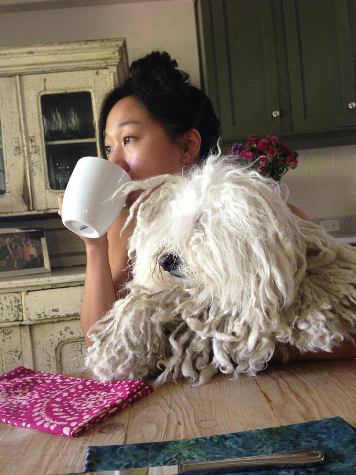 Check out the photos of Mark Zuckerberg's Dog Beast. Mark Zuckerberg,Mark Zuckerberg dog,mark's dog beast,beast,beast dog photos,cute dog photos