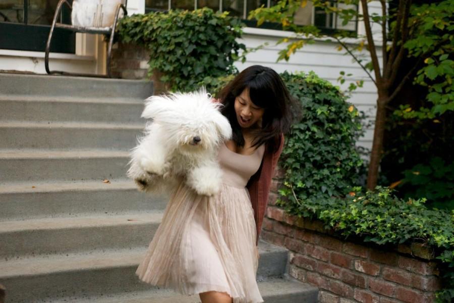Check out the photos of Mark Zuckerberg's Dog Beast. Mark Zuckerberg,Mark Zuckerberg dog,mark's dog beast,beast,beast dog photos,cute dog photos