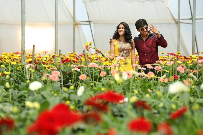 Bale Bale Magadivoy is an upcoming Telugu film written and directed by Maruthi Dasari and jointly produced by Geetha Arts & UV Creations. Nani and Lavanya Tripathi in lead roles. Nani,Lavanya Tripathi,Bhale Bhale Magadivoy,telugu movie Bhale Bhale Magadivoy,Nani and Lavanya Tripathi,Bhale Bhale Magadivoy Movie Stills,Bhale Bhale Magadivoy Movie pics,Bhale Bhale Magadivoy Movie images,Bhale Bhale Magadivoy Movie photos,Bhale Bhale
