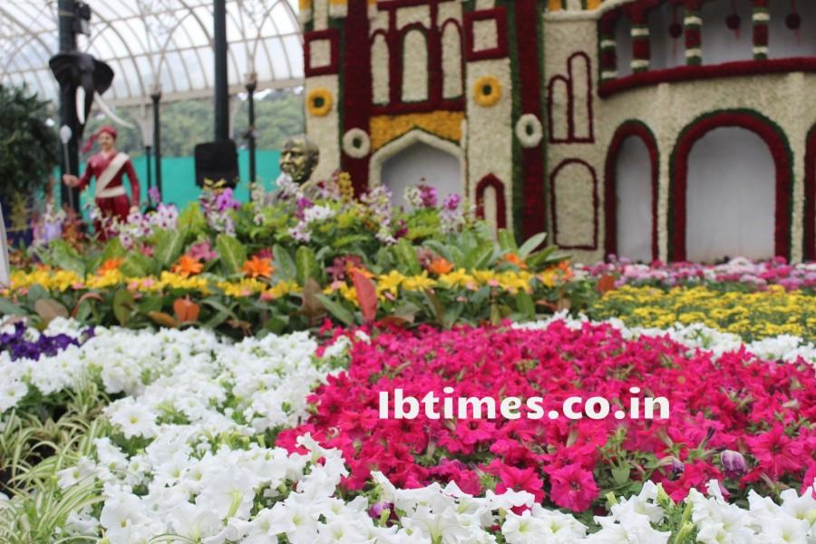 Photos of Independence Day Flower Show at Lalbagh Bangalore 2015 Independence Day,Flower Show at Lalbagh Bangalore 2015,Flower Show at Lalbagh,Flower Show,Lalbagh Flower Show,Lalbagh Flower Show 2015