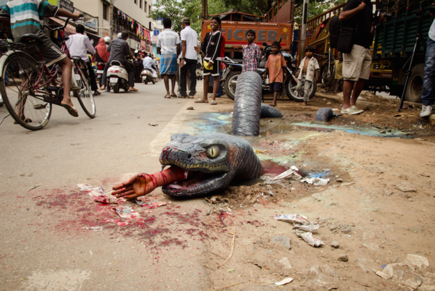 Photos of Bangalore artist creates Anaconda on Bengaluru Potholes. Anaconda on Bengaluru Potholes,Anaconda on Bengaluru streets,Anaconda,Bengaluru Potholes,Potholes,Anaconda paint,Bangalore artist creates Anaconda