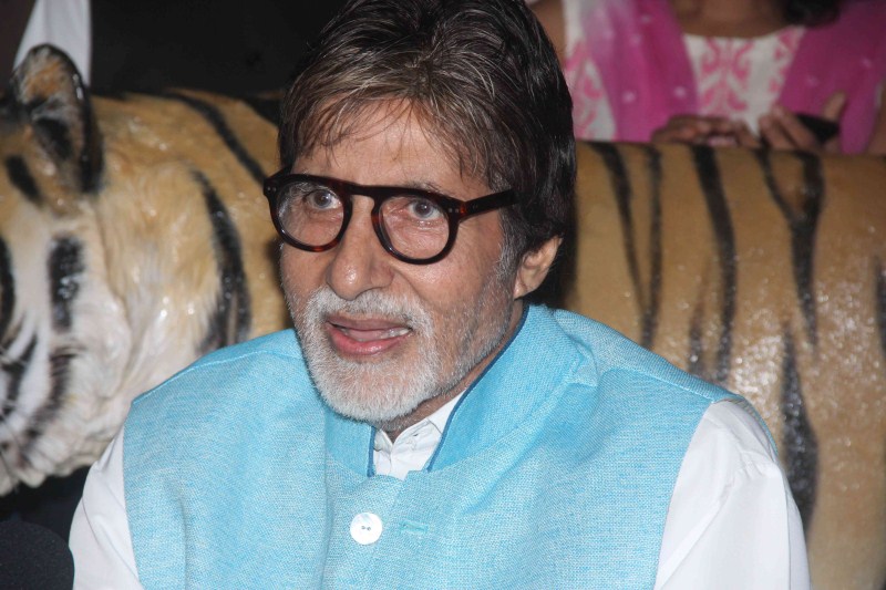 Bollywood Actor Amitabh Bachchan appointed as the Tiger ambassador of Maharashtra. Amitabh Bachchan,Amitabh Bachchan as Tiger ambassador of Maharashtra,Amitabh Bachchan as Tiger ambassador,actor Amitabh Bachchan,Amitabh Bachchan latest pics,Amitabh Bachchan latest images,Amitabh Bachchan latest photos,Amitabh Bachchan latest stills,Amit