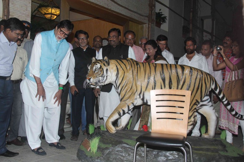 Bollywood Actor Amitabh Bachchan appointed as the Tiger ambassador of Maharashtra. Amitabh Bachchan,Amitabh Bachchan as Tiger ambassador of Maharashtra,Amitabh Bachchan as Tiger ambassador,actor Amitabh Bachchan,Amitabh Bachchan latest pics,Amitabh Bachchan latest images,Amitabh Bachchan latest photos,Amitabh Bachchan latest stills,Amit