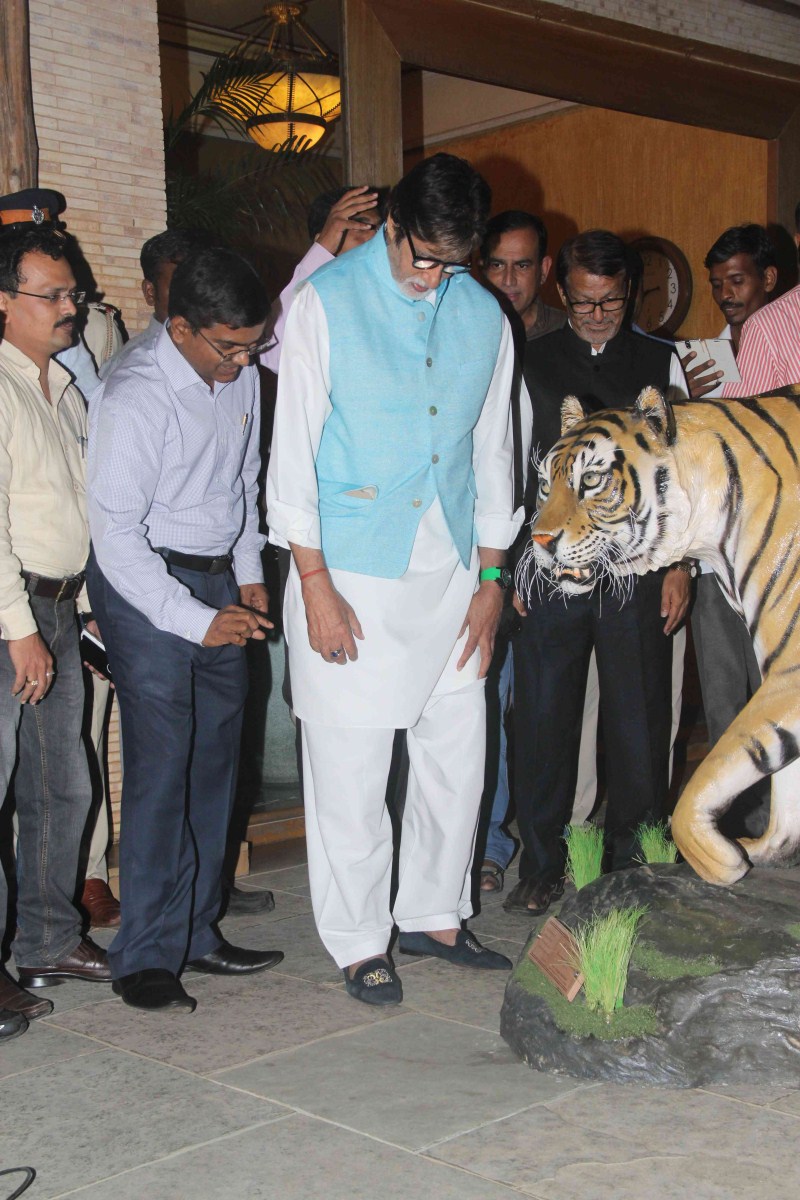 Bollywood Actor Amitabh Bachchan appointed as the Tiger ambassador of Maharashtra. Amitabh Bachchan,Amitabh Bachchan as Tiger ambassador of Maharashtra,Amitabh Bachchan as Tiger ambassador,actor Amitabh Bachchan,Amitabh Bachchan latest pics,Amitabh Bachchan latest images,Amitabh Bachchan latest photos,Amitabh Bachchan latest stills,Amit