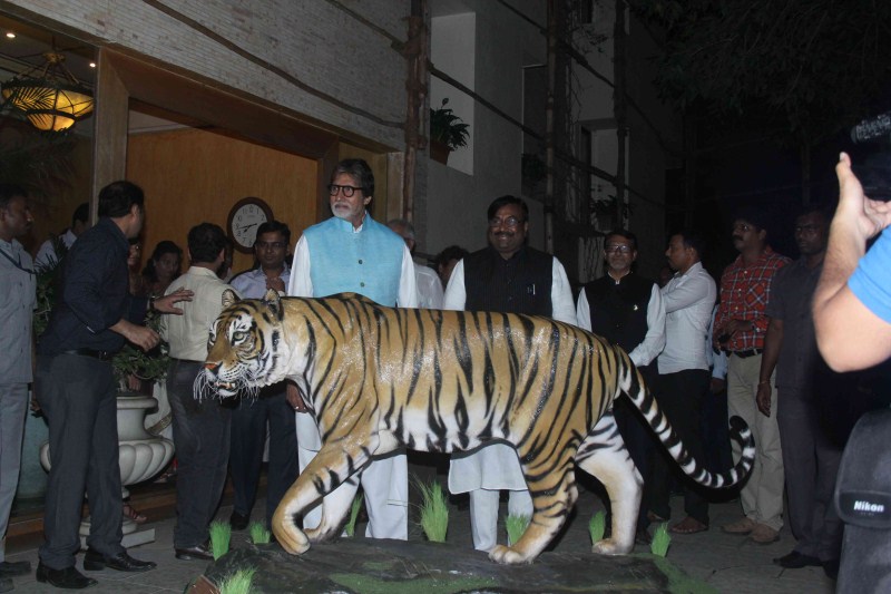 Bollywood Actor Amitabh Bachchan appointed as the Tiger ambassador of Maharashtra. Amitabh Bachchan,Amitabh Bachchan as Tiger ambassador of Maharashtra,Amitabh Bachchan as Tiger ambassador,actor Amitabh Bachchan,Amitabh Bachchan latest pics,Amitabh Bachchan latest images,Amitabh Bachchan latest photos,Amitabh Bachchan latest stills,Amit
