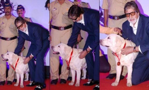 Check out your favorite celebs with their favorite Pets.