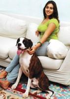 Celebs and Their Pets,Celebs with Pets,pet animals,Celebs and Their Pets Photos,Celebs and Their Pets pictures,Celebs and Their Pets images,Celebs and Their Pets stills,Celebrity Pets,Celeb's Best Friend,Celebrities With Their Pets