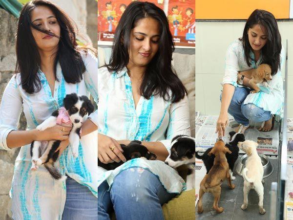 Check out your favorite celebs with their favorite Pets. Celebs and Their Pets,Celebs with Pets,pet animals,Celebs and Their Pets Photos,Celebs and Their Pets pictures,Celebs and Their Pets images,Celebs and Their Pets stills,Celebrity Pets,Celeb's Best Friend,Celebrities With Their Pets