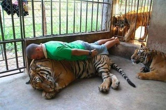 World Photo Day is a worldwide celebration of photography. Here are some funny pictures that makes you to Laugh. World Photography Day,World Photography Day 2015,Photography Day,Photography Day 2015,best Photography,best photos,Funny Pictures,Funny pics,Funny images,Funny stills,best Funny Pictures,best Funny pics,best Funny images,best Funny photos