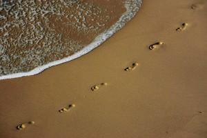 Amazing photographs,best photos,happy photos,photos that make us happy,refreshing photos