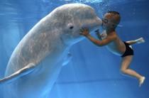World Photography Day is celebrated on 19 August every year.