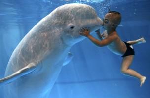 Amazing photographs,best photos,happy photos,photos that make us happy,refreshing photos
