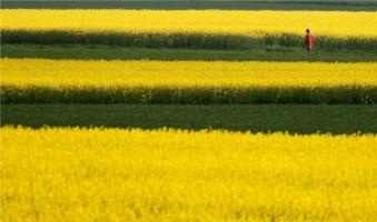 Nature photography,nature photographs,nature photos,nature pictures,world photography day 2015,world photography day,world photo day