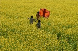 Nature photography,nature photographs,nature photos,nature pictures,world photography day 2015,world photography day,world photo day