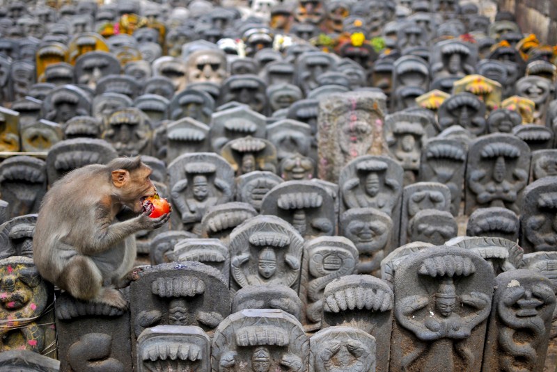 Here are some best pictures around the World. Pictures of the Day,best pictures around the World,Latest photographs,Latest photographs pics,Latest photographs images,Latest photographs photos,Latest photographs stills,best photographs,best photographs pics,best photographs 2015